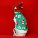 Cat Christmas One-arm Sweater for Cats