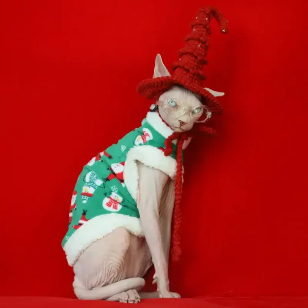 Cat Christmas One-arm Sweater for Cats