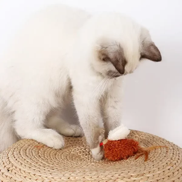 Chirping Bird Cat Toys for Indoor Cats