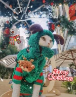Elk Hat Cat Christmas Holiday Outfit for Cats