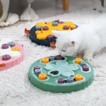 Interactive Cat Relieve Boredom Puzzle Feeder