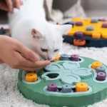 Interactive Cat Relieve Boredom Puzzle Feeder