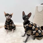 Maillard British Plaid Brown Outfits for Cats