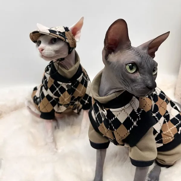 Maillard British Plaid Brown Outfits for Cats