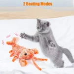 Plush Lobster Interactive Cat Toy Catnip Toys