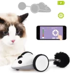 Remote Control Mouse Cat Toy Interactive Cat Toy