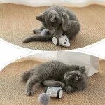 Remote Control Mouse Cat Toy Interactive Cat Toy