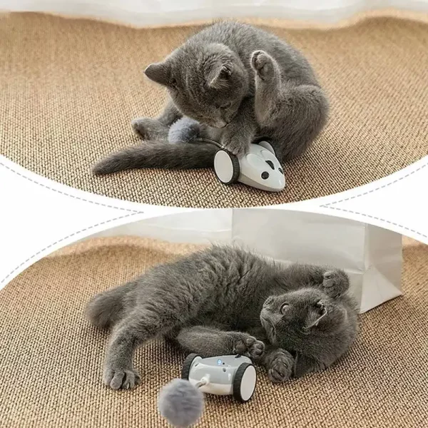 Remote Control Mouse Cat Toy Interactive Cat Toy