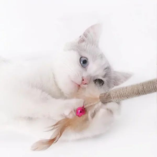 Silver Vine Sticks Cat Toys