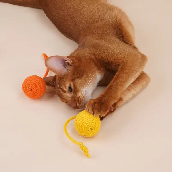 Wall-mounted Twine Ball Cat Toys