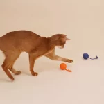Wall-mounted Twine Ball Cat Toys