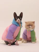 Autumn Winter Contrast Color Hoodie for Cats
