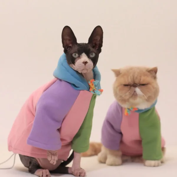 Autumn Winter Contrast Color Hoodie for Cats