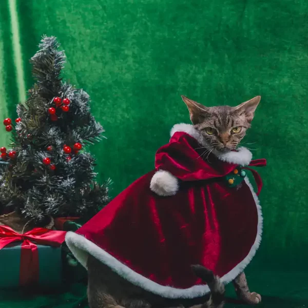 Christmas Outfit Cat Clothing Cloak - Red