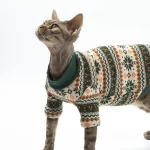 Classic Christmas Pattern Green Sweater for Cat