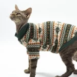 Classic Christmas Pattern Green Sweater for Cat