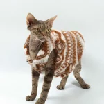 Lamb Velvet Zip Christmas Jacket for Cat - Sleveless