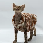 Lamb Velvet Zip Christmas Jacket for Cat - Sleveless
