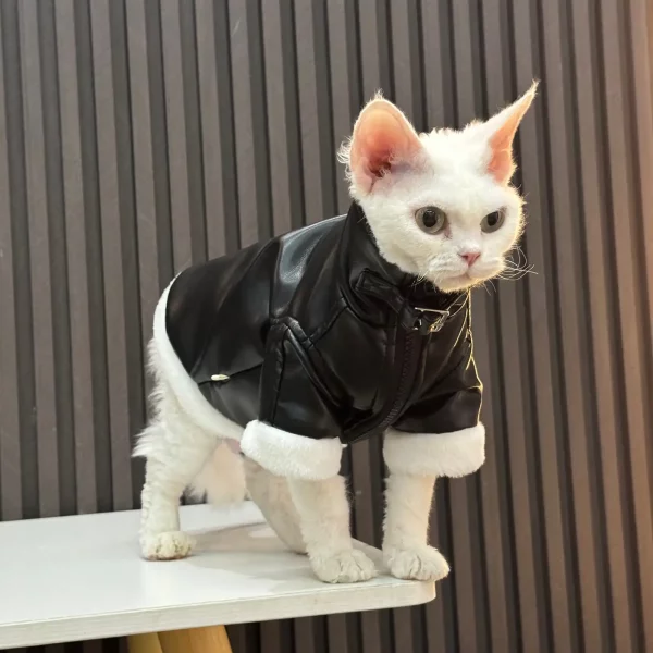 Velvet Thickened Winter Leather Jacket for Cats