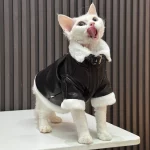 Velvet Thickened Winter Leather Jacket for Cats