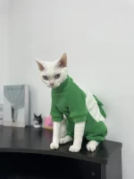 Winter Thick belly-covering Four-legged Sweatshirt for Cats - Green