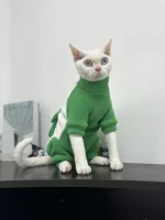 Winter Thick belly-covering Four-legged Sweatshirt for Cats - Green