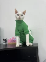 Winter Thick belly-covering Four-legged Sweatshirt for Cats - Green