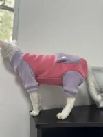 Winter Thick belly-covering Four-legged Sweatshirt for Cats - Pink