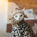 Faux Rabbit Fur Leopard Print Fur Coat for Cat