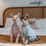 100% Cotton Bunny Print Pajamas for Cats