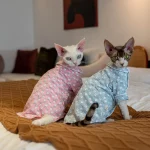 100% Cotton Bunny Print Pajamas for Cats