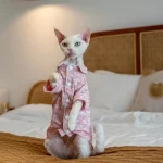 100%Cotton Bunny Print Pajamas for Cats - Pink