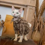 Corduroy Vintage Wooden Buckle Vest Jackets for Cats - Only shirt