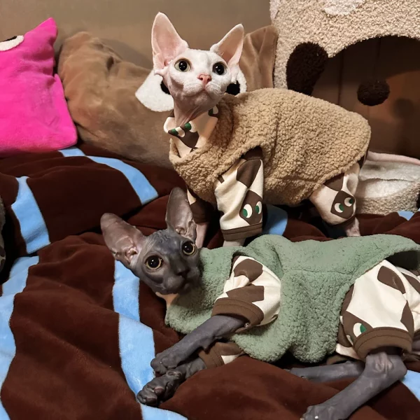 Cotton Vests and Cotton Onesies for Cats
