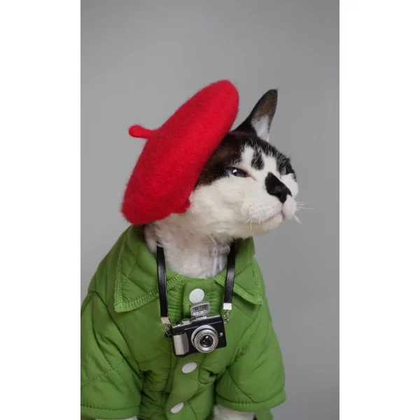 Apple Green Cotton Jackets for Cats