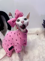 Barbie Pink Heart T-shirt Set for Cats