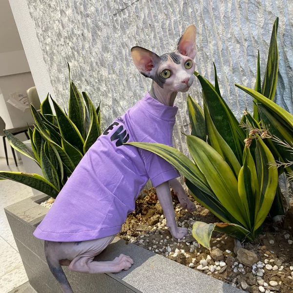 Cat Spring Summer Thin Cotton T-shirt - Purple