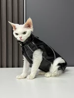 Faux Leather Vest for Cat with Traction Ring