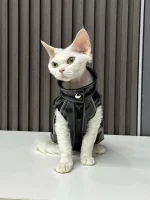 Faux Leather Vest for Cat with Traction Ring