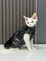Faux Leather Vest for Cat with Traction Ring