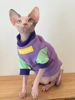 New York T-shirt for Sphynx Cats