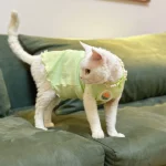 Summer Breathable Tank Top for Cats - A