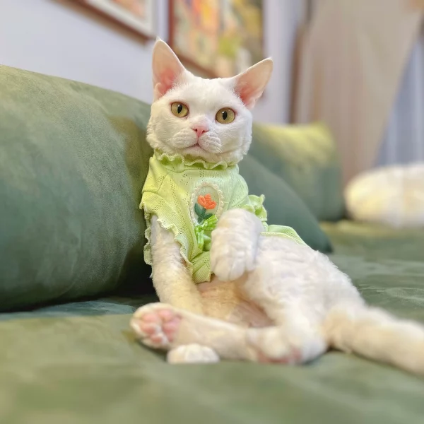 Summer Breathable Tank Top for Cats - B