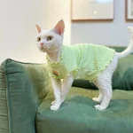Summer Breathable Tank Top for Cats - B