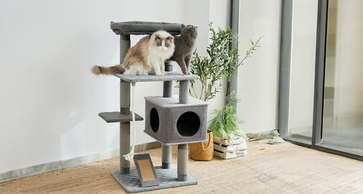 Best Cat Tree - Tested & Reviewed - Grey Carpet Cat Condo
