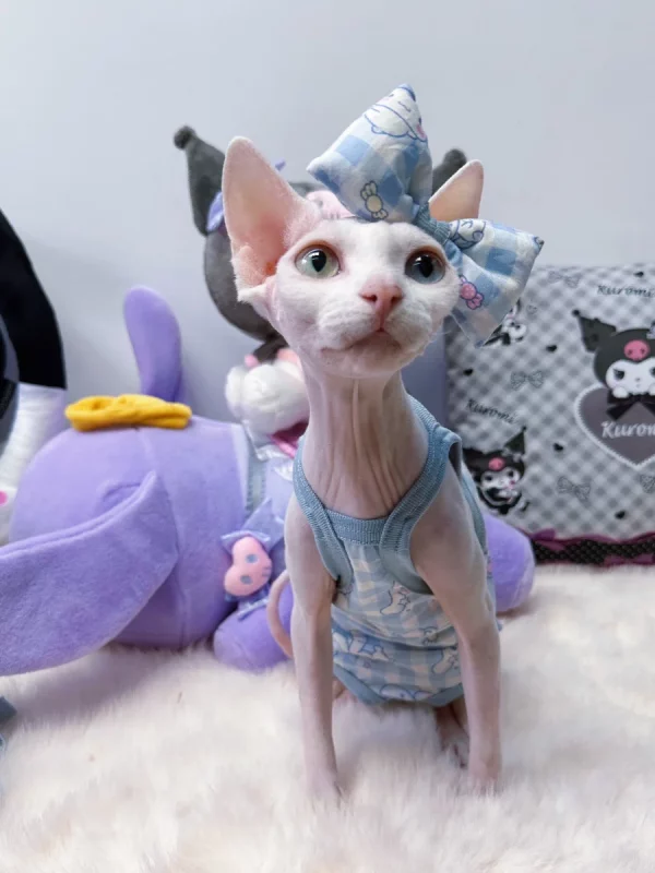 Cinnamoroll Plaid Onesie Tanktop for Cats