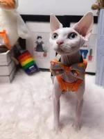 Modal French Chips Print Onesies for Cats