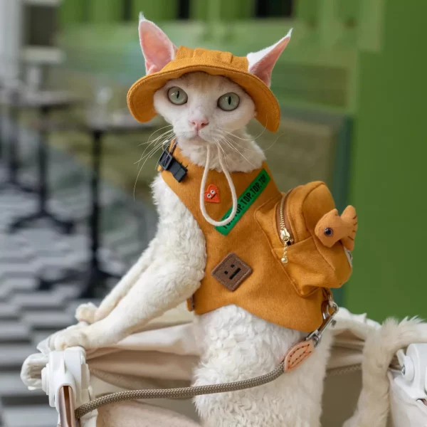 Orange Denim Backpack Harness Leash for Cats