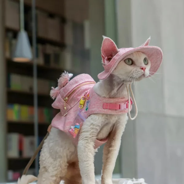 Pink Denim Harness Leash Set for Cats