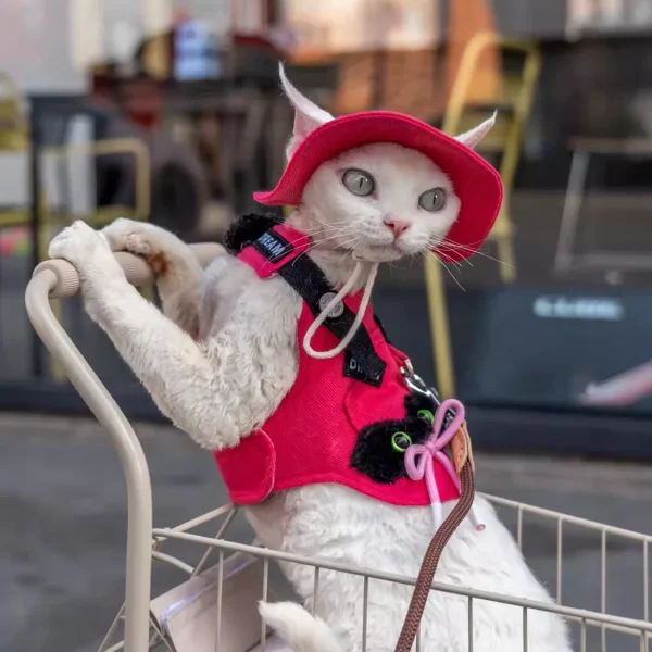 Rose Red Denim Cat Harness Leash Set